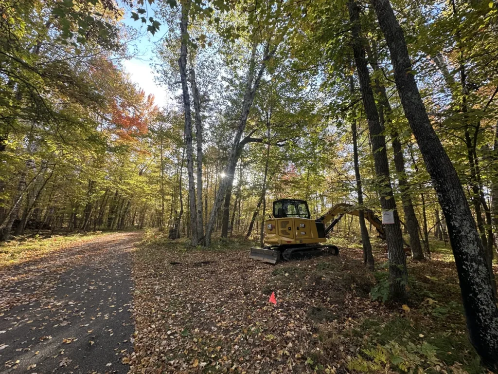 Excavator among trees on a woodland jobsite